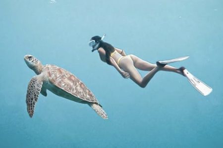 All-Inclusive: Bali Blue Lagoon Snorkeling With Lunch & Transport