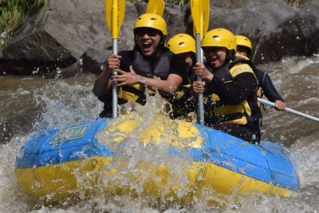 Ayung Rafting with Monkey Forest included Lunch and Transport