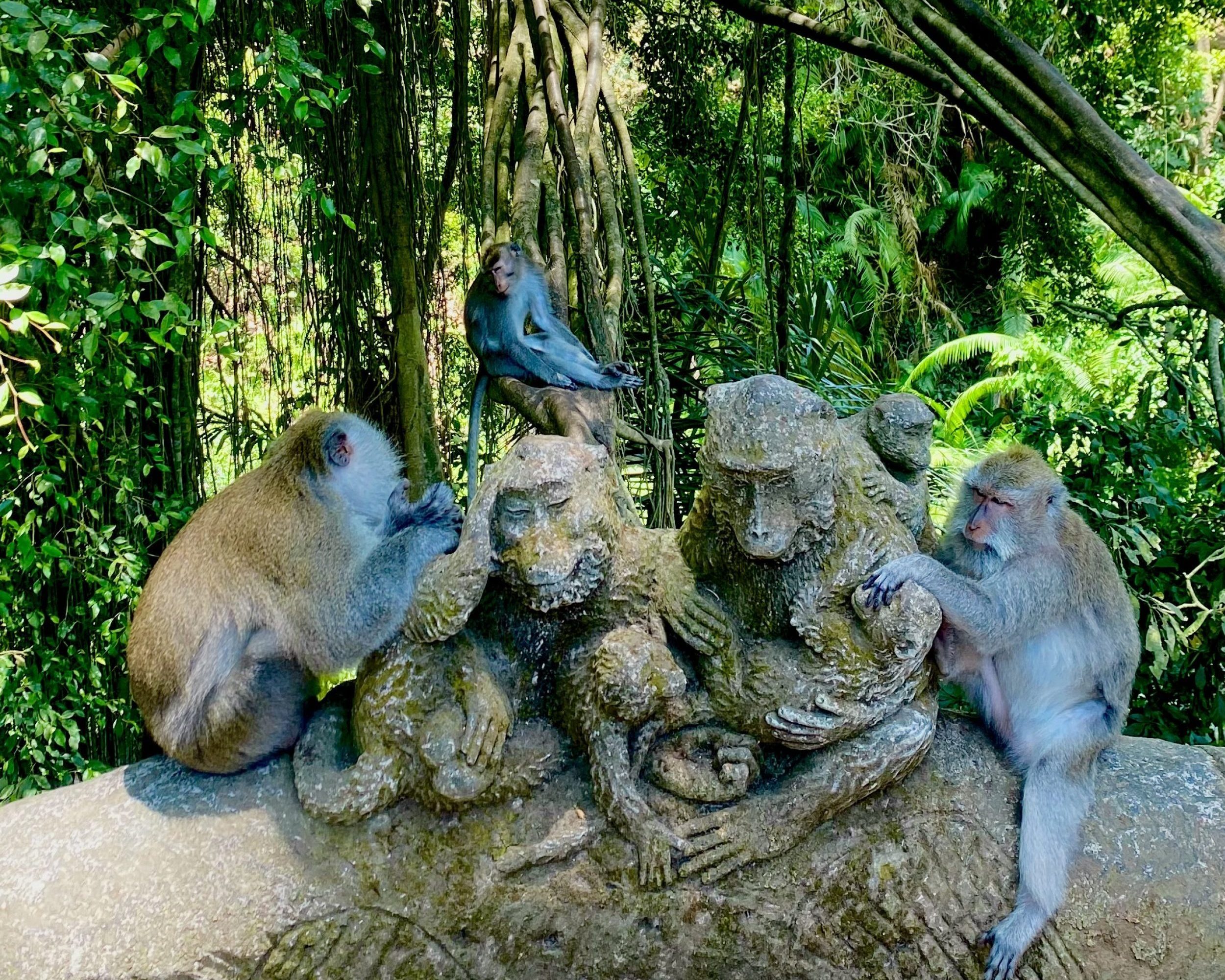 Ubud Day Tours : Monkey Forest – Rice Terrace – Waterfall – Water Temple ( Private Trip )