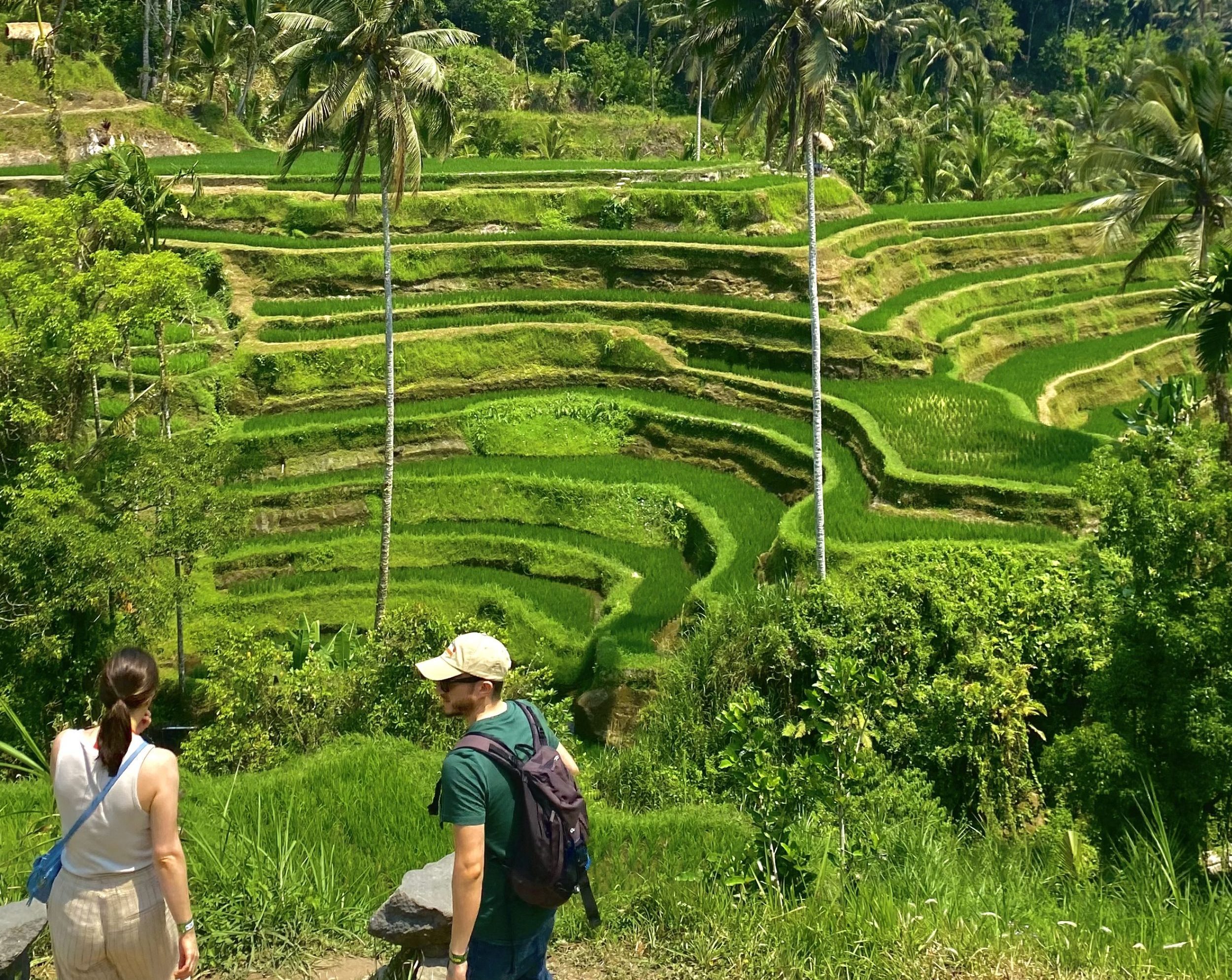 Ubud: Monkey Forest, Water Temple, Rice Terrace, Waterfall