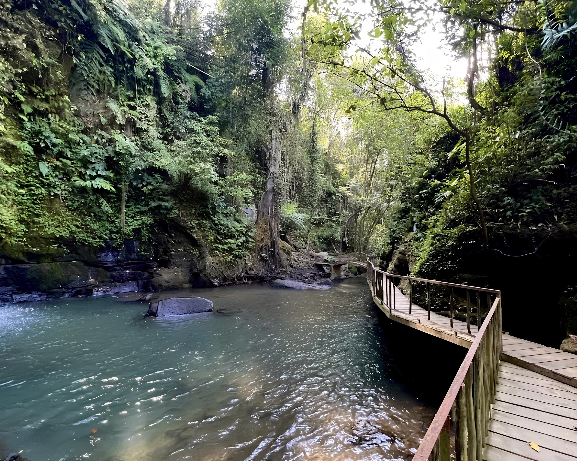 Ubud: Monkey Forest, Water Temple, Rice Terrace, Waterfall
