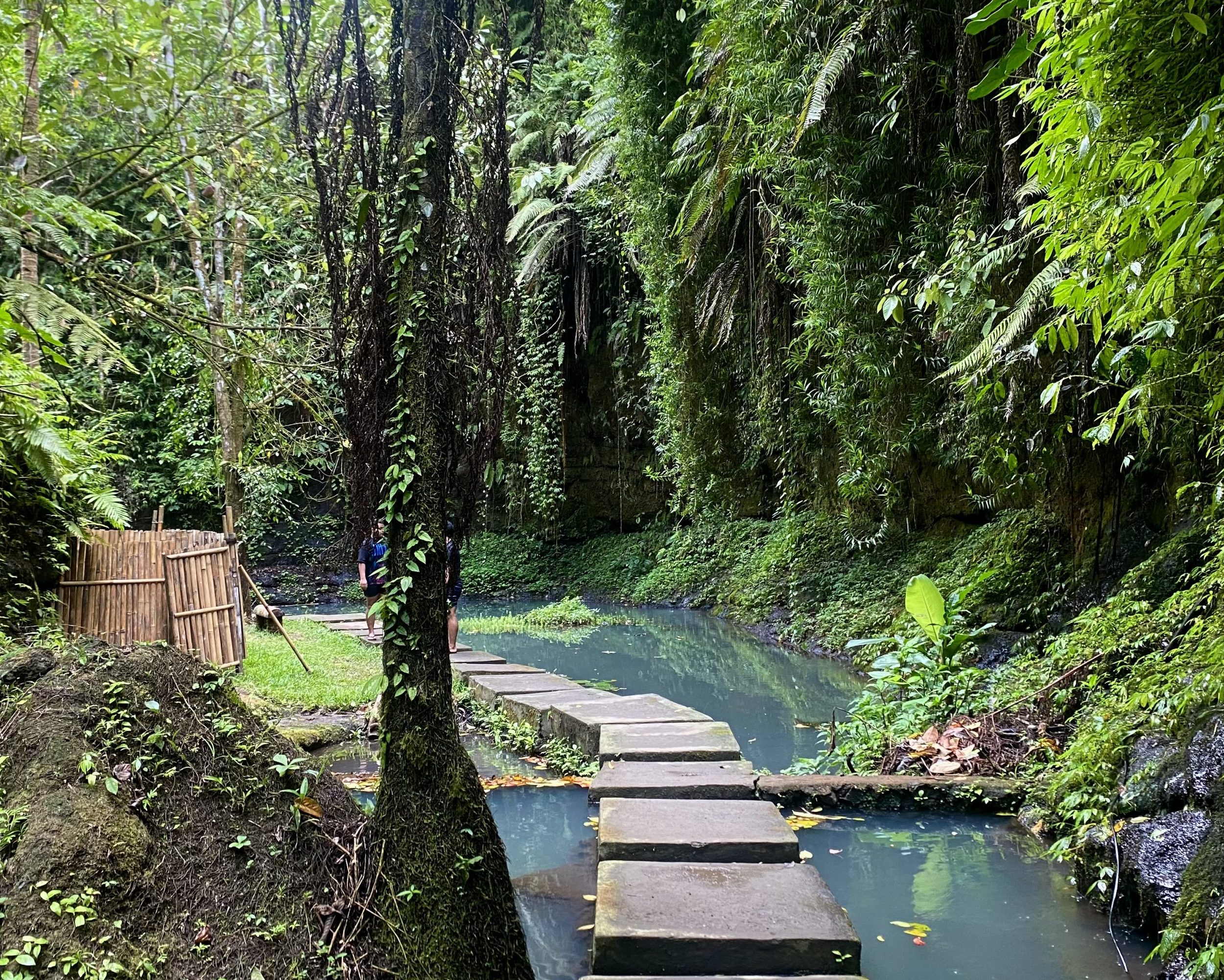 Half Day : Explore Ubud with Private Tours All-Inclusive
