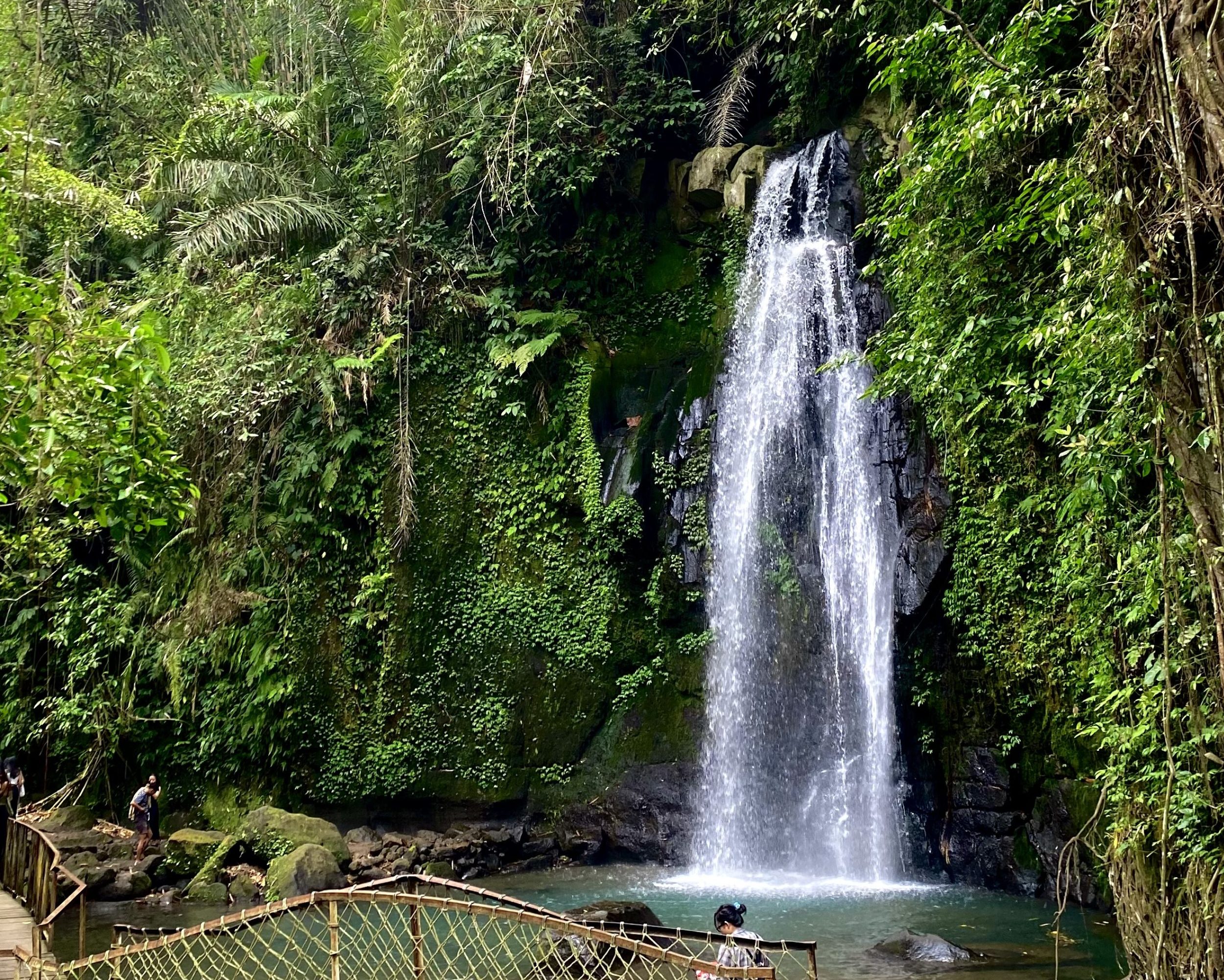 Half Day : Explore Ubud with Private Tours All-Inclusive