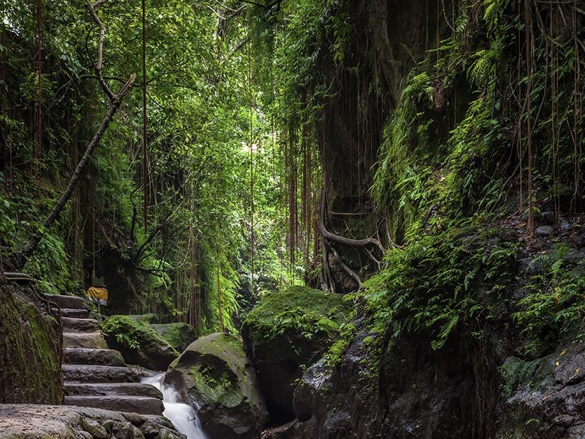 Ubud: Monkey Forest, Water Temple, Rice Terrace, Waterfall