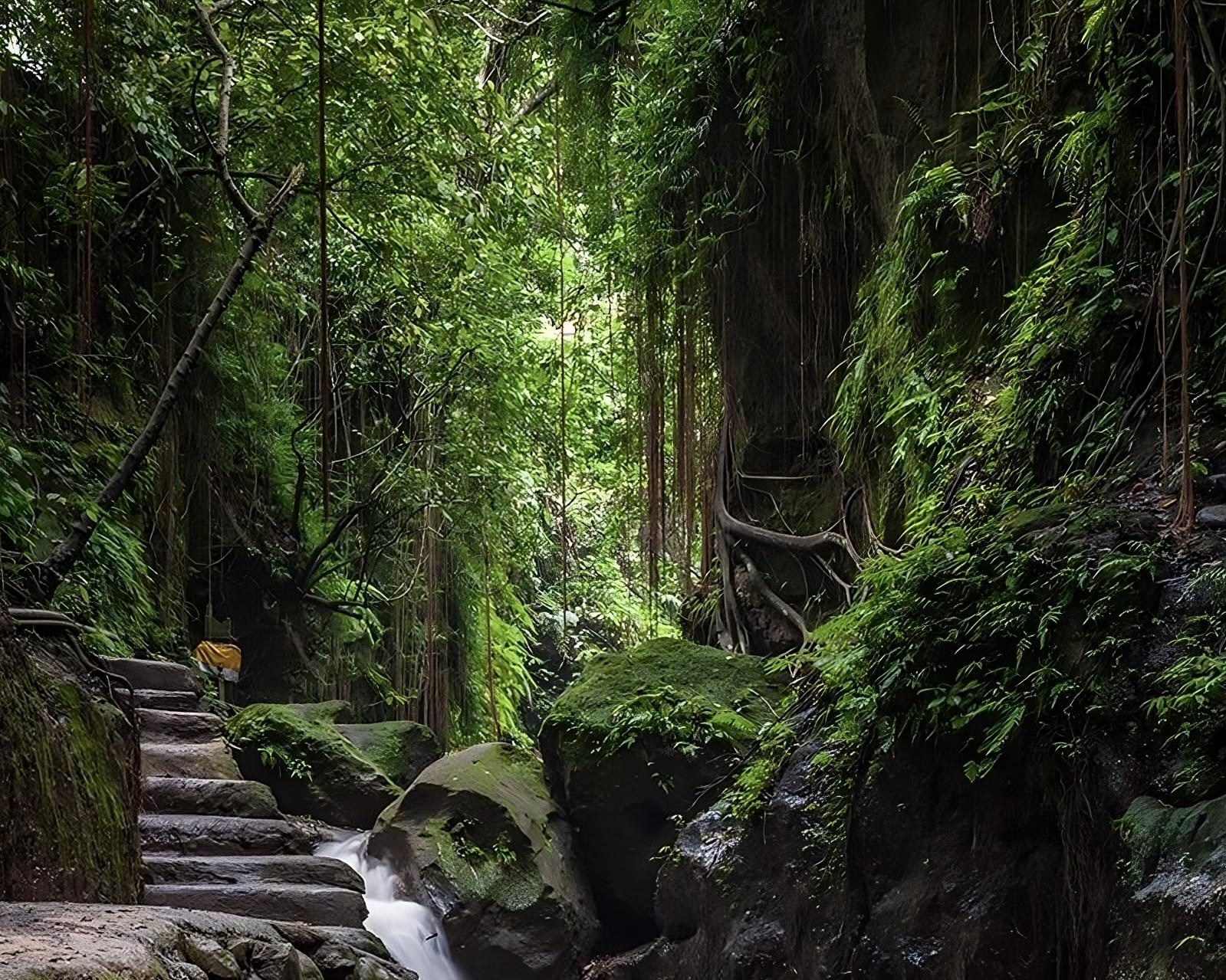 Ayung Rafting with Monkey Forest included Lunch and Transport