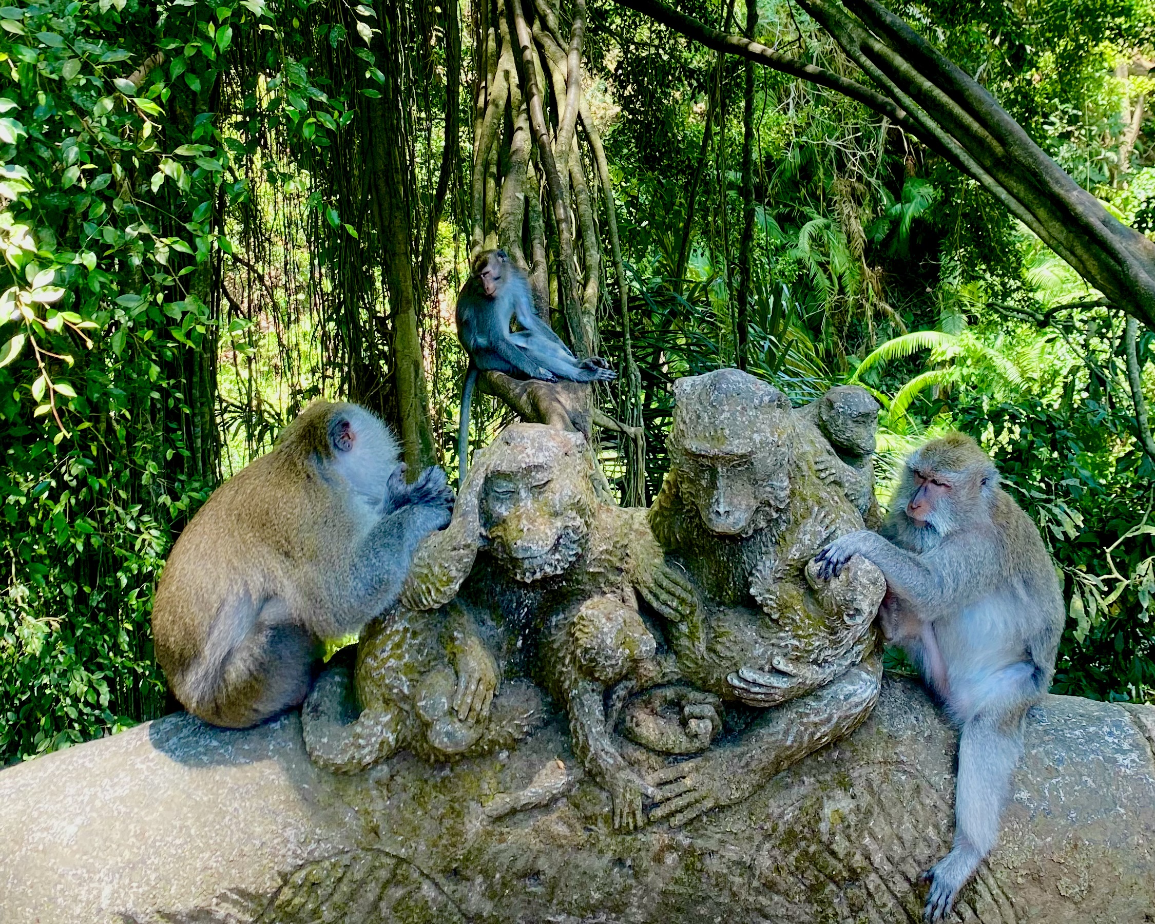 Ayung Rafting with Monkey Forest included Lunch and Transport