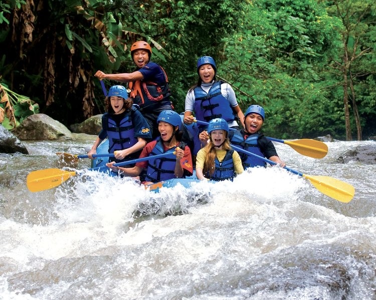 Ayung Rafting with Monkey Forest included Lunch and Transport