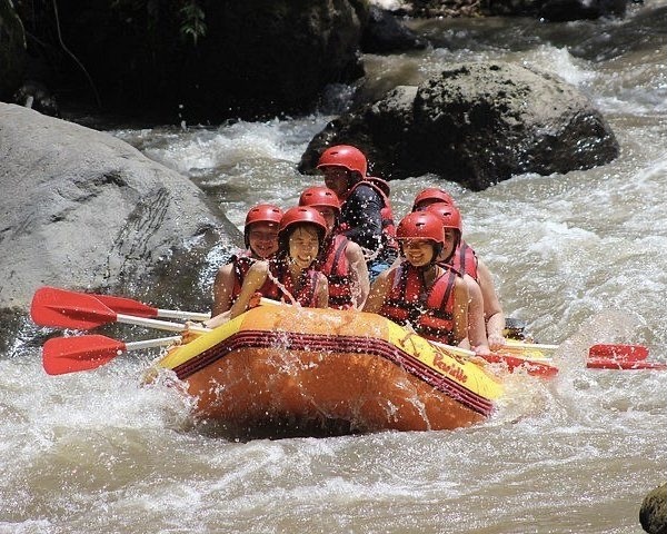 Ayung Rafting with Monkey Forest included Lunch and Transport