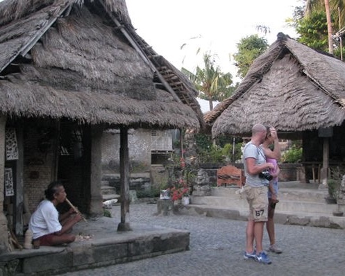 Private Highlight of Ubud Half Day Trip with Village Temple