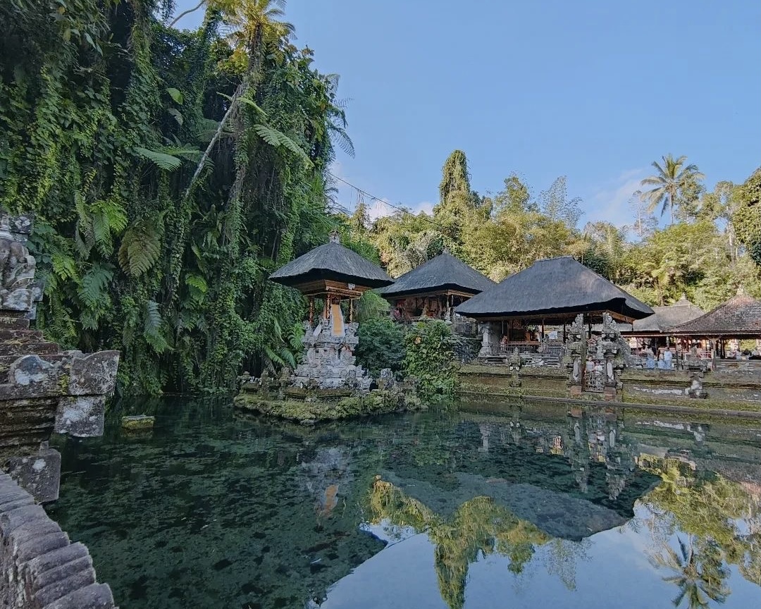 Half Day : Explore Ubud with Private Tours All-Inclusive