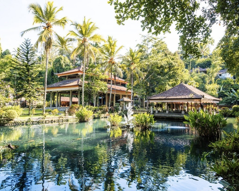 Half Day : Explore Ubud with Private Tours All-Inclusive