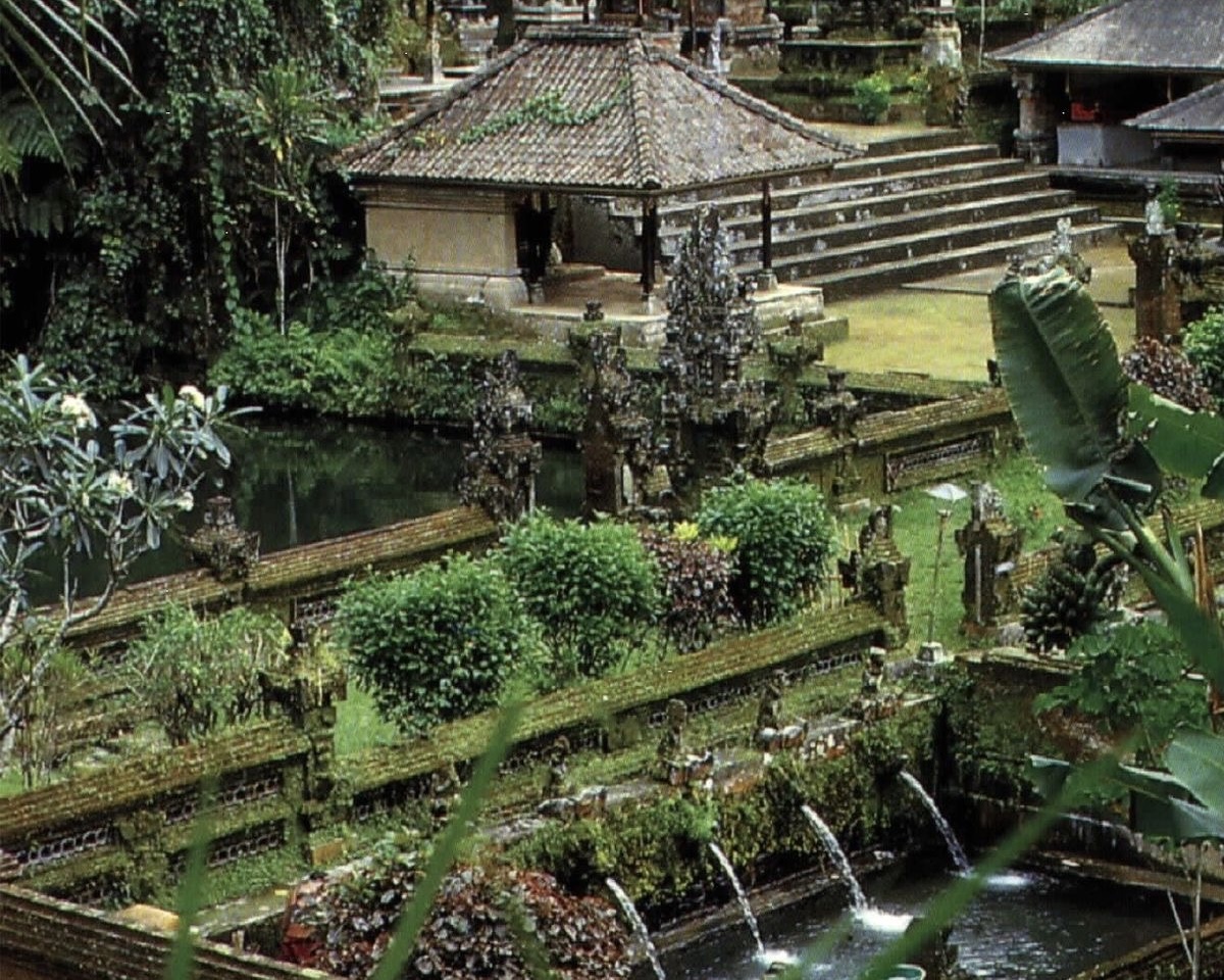 Half Day : Explore Ubud with Private Tours All-Inclusive