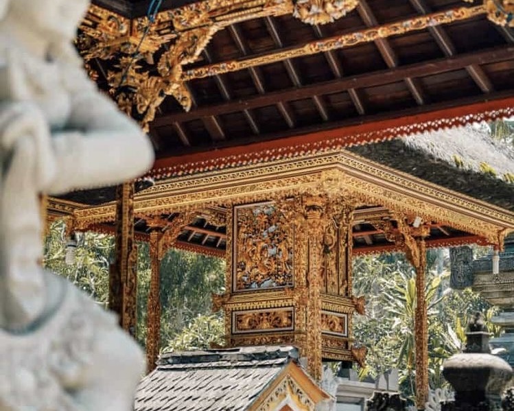 Ubud: Monkey Forest, Water Temple, Rice Terrace, Waterfall