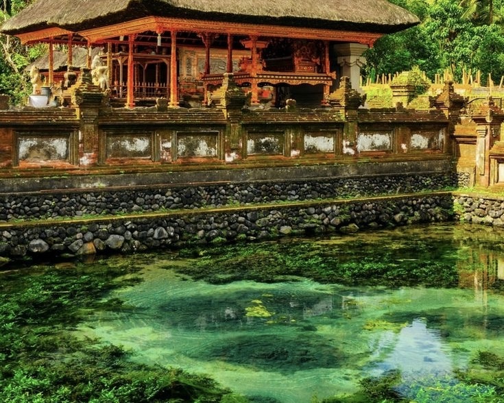 Ubud: Monkey Forest, Water Temple, Rice Terrace, Waterfall