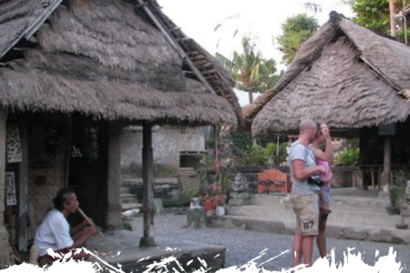 Private Highlight of Ubud Half Day Trip with Village Temple