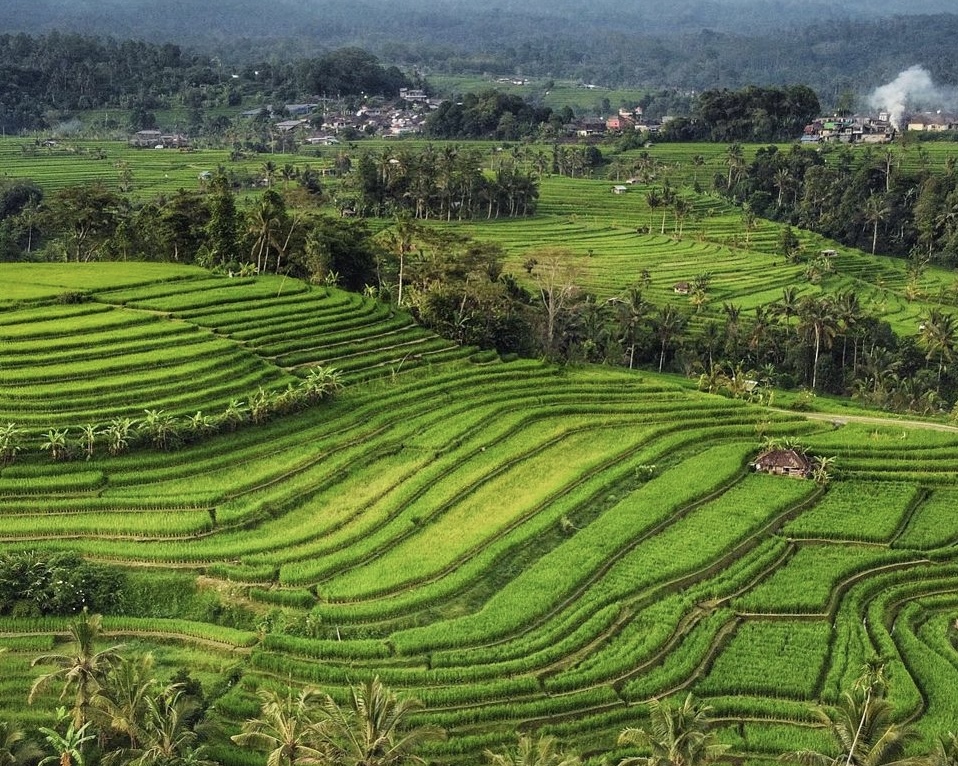 Bedugul Temple – Banyumala Waterfall – UNESCO Rice Terrace ( Private Trip )