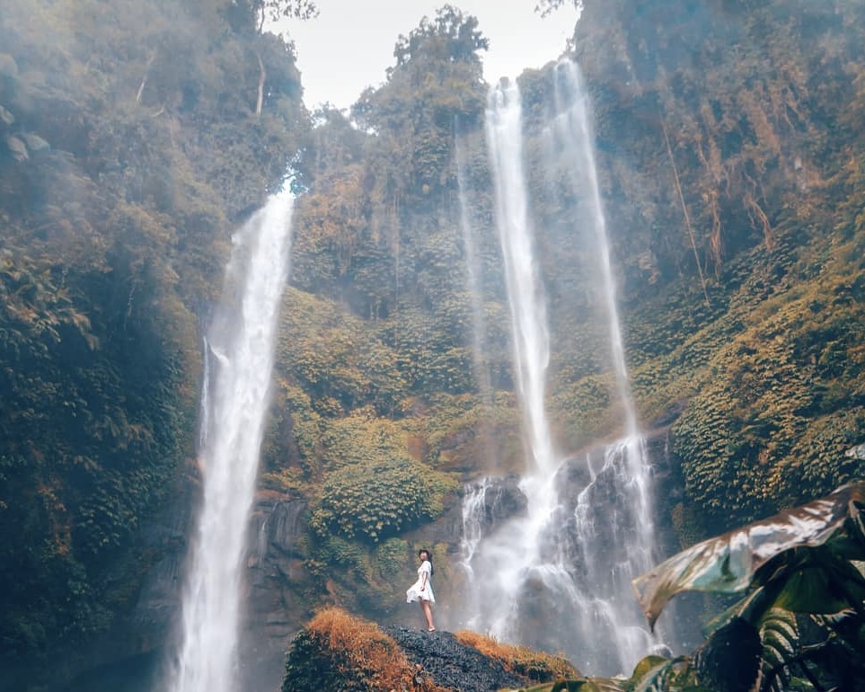 Sekumpul Waterfall with Fiji Waterfall and Bedugul Temple ( Private Trip )