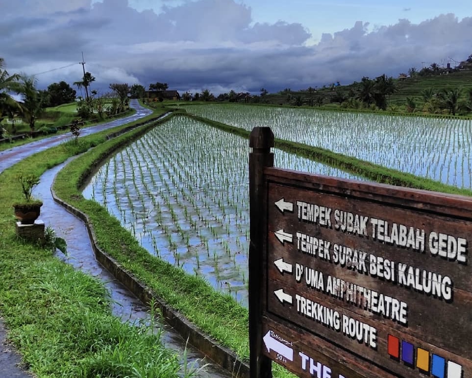 Bedugul Temple – Banyumala Waterfall – UNESCO Rice Terrace ( Private Trip )