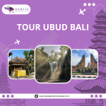 Tour Ubud Bali