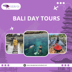 Bali Day Tours