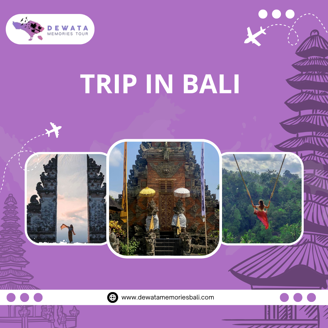 Trip in Bali